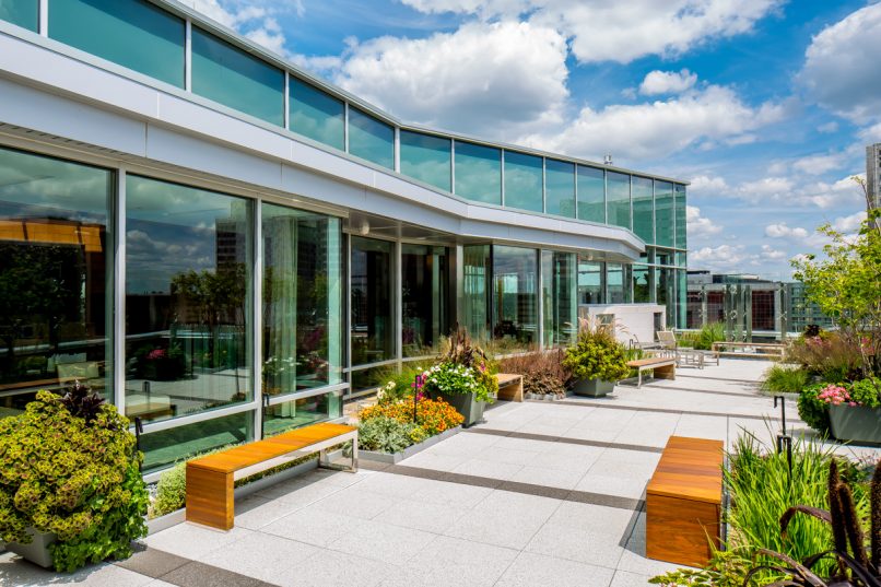 Mayo Clinic DAHLC FARM KID STUDIOS